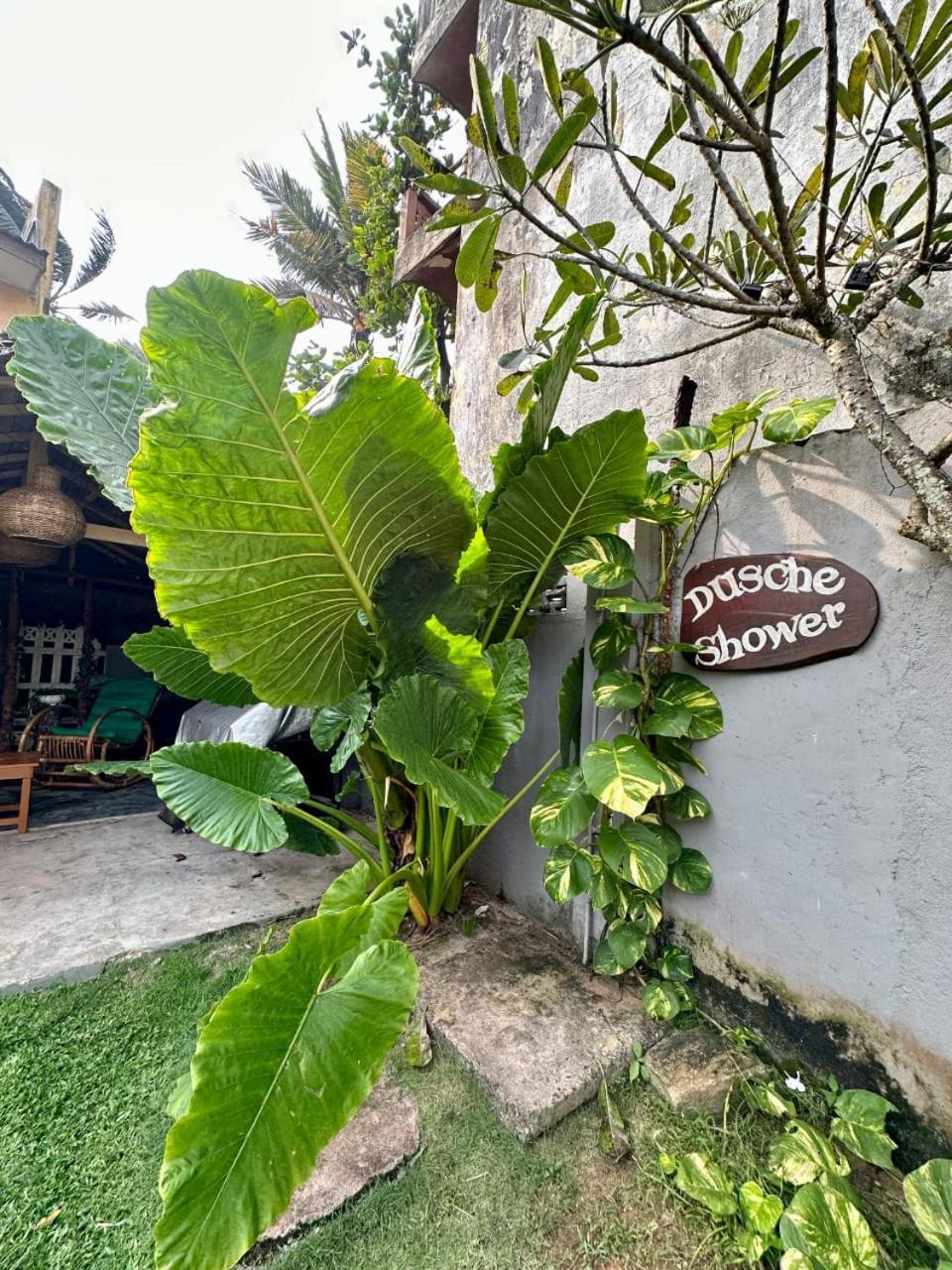 Villa Sunny Days Hikkaduwa Dış mekan fotoğraf